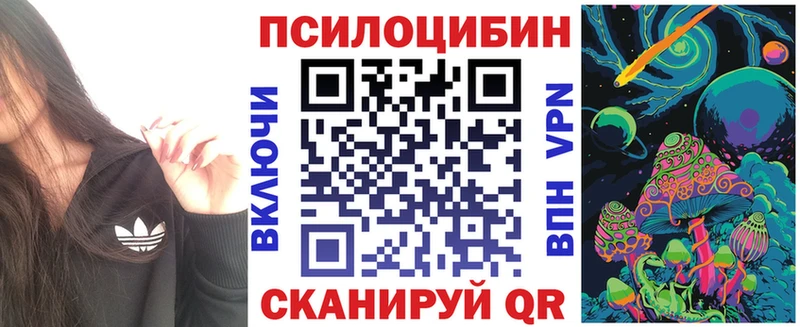 Псилоцибиновые грибы Psilocybe  Коркино 